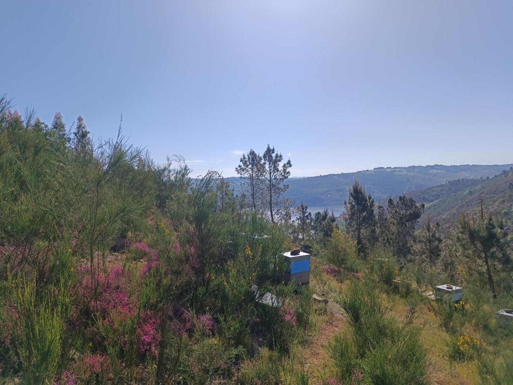 Casa Grande De Covas-Apartamentos Turisticos Taboada Esterno foto