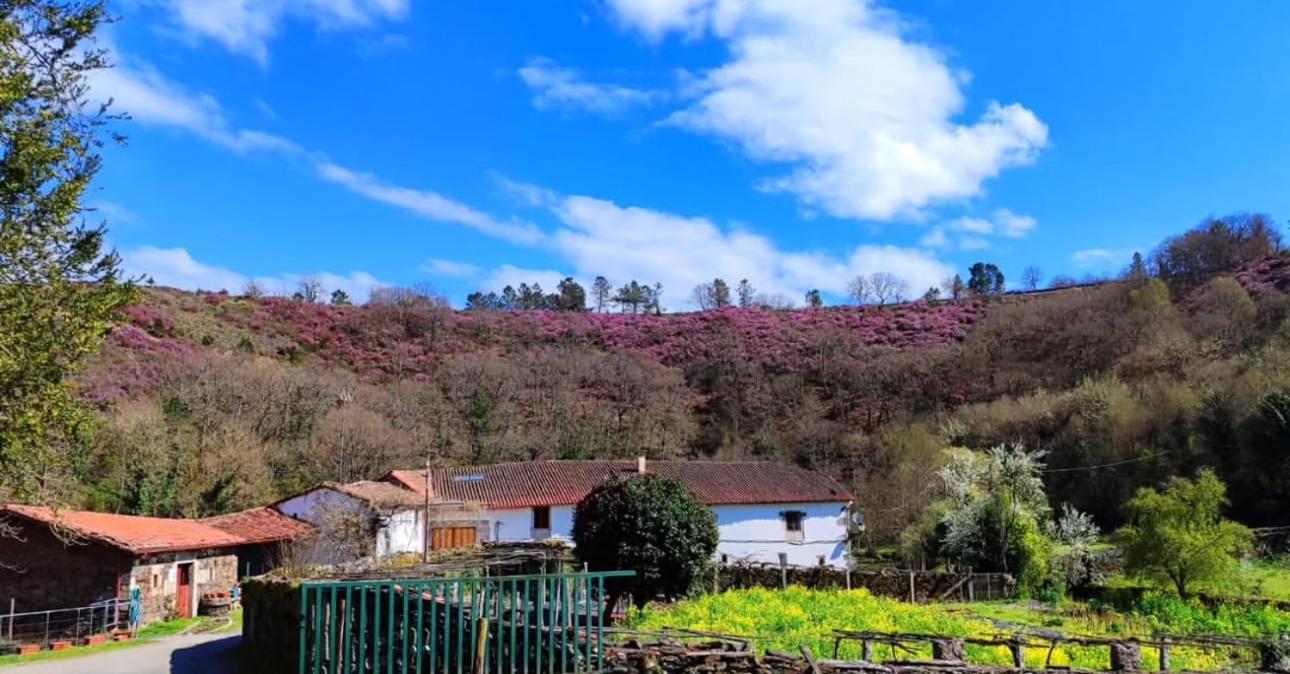 Casa Grande De Covas-Apartamentos Turisticos Taboada Esterno foto