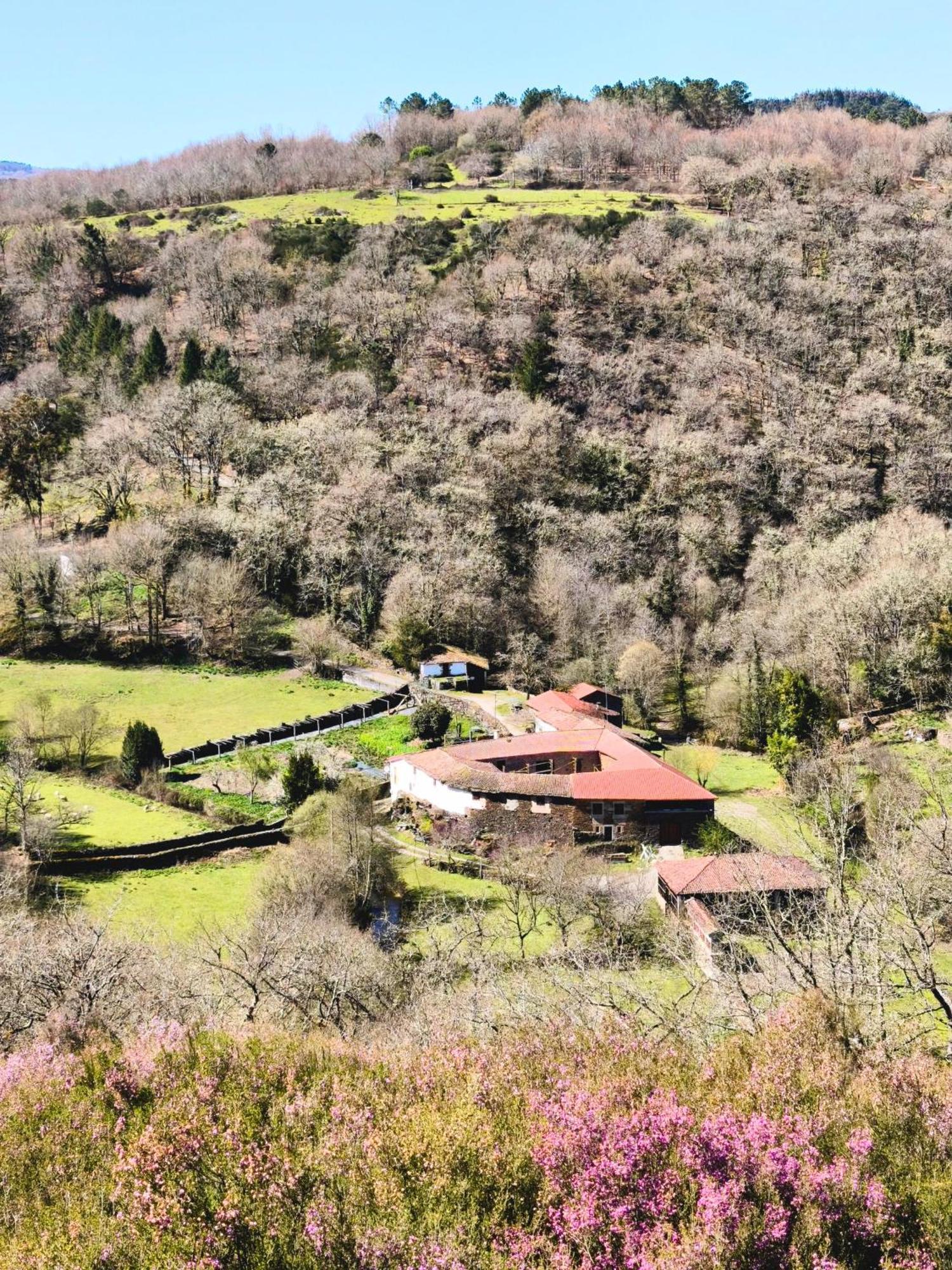 Casa Grande De Covas-Apartamentos Turisticos Taboada Esterno foto